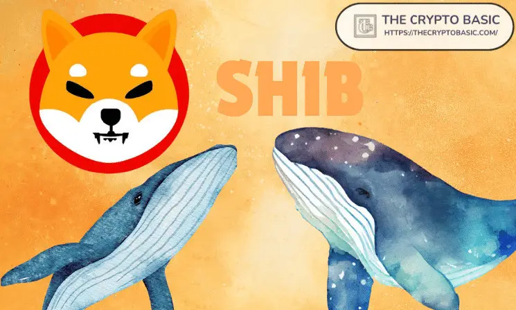 As Shiba Inu Falls to $0.000015, New Wallet Accumulates 583,777,512,556 SHIB from Binance