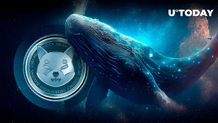 Shiba Inu (SHIB) Spikes 240% in Key Stat as Whale Activity Unveiled