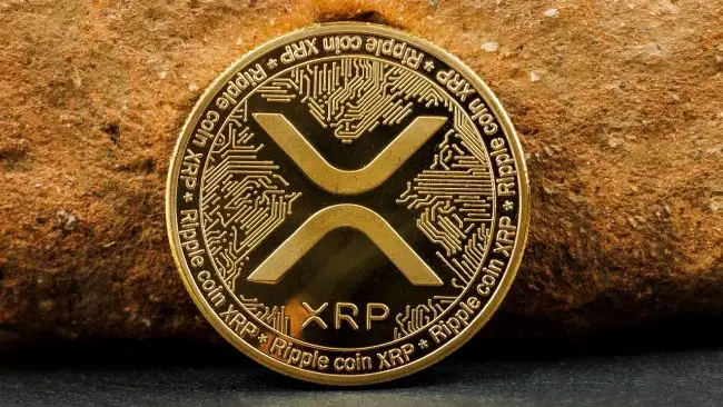 New XRP Rally Incoming？ Analyst Believes This Cycle Is Unique