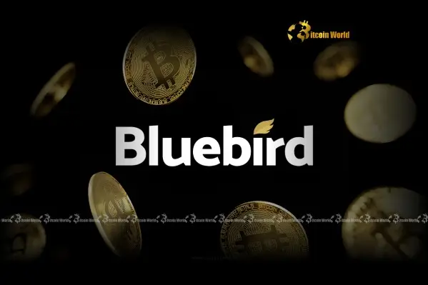 Bluebird Minings Revolutionary $1.36M Bitcoin Investment Signals Bold New Era