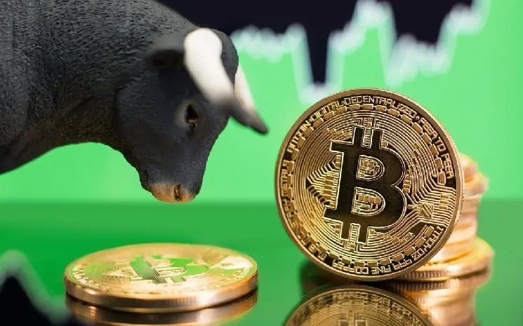 Famous Analyst Said Don't Believe Other Analysts, Announced the Date When the Bitcoin Bull Will End! "We Only Have a Few Months! Here's Why!"