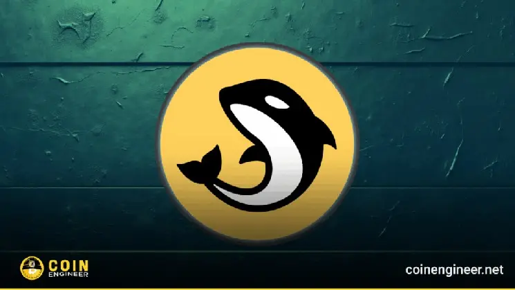 ORCA Launchpad: Ushering In a New Era on Solana