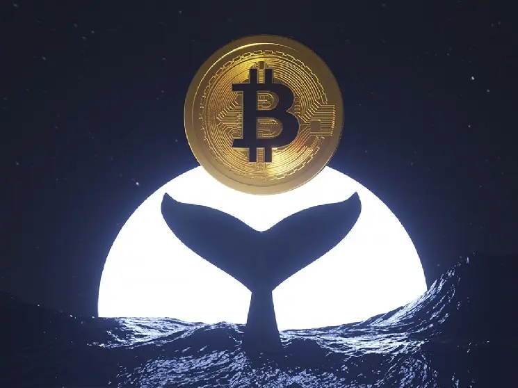 Ancient Whale From the Satoshi Era That Transferred 80,000 Bitcoins Sold Them All — The Whales Identity May Have Been Revealed