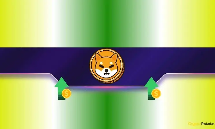 Why Is the Shiba Inu (SHIB) Price Up Today？