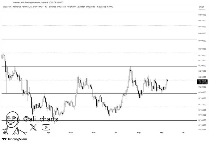 Analyst sets Dogecoin's (DOGE) path to $0.50