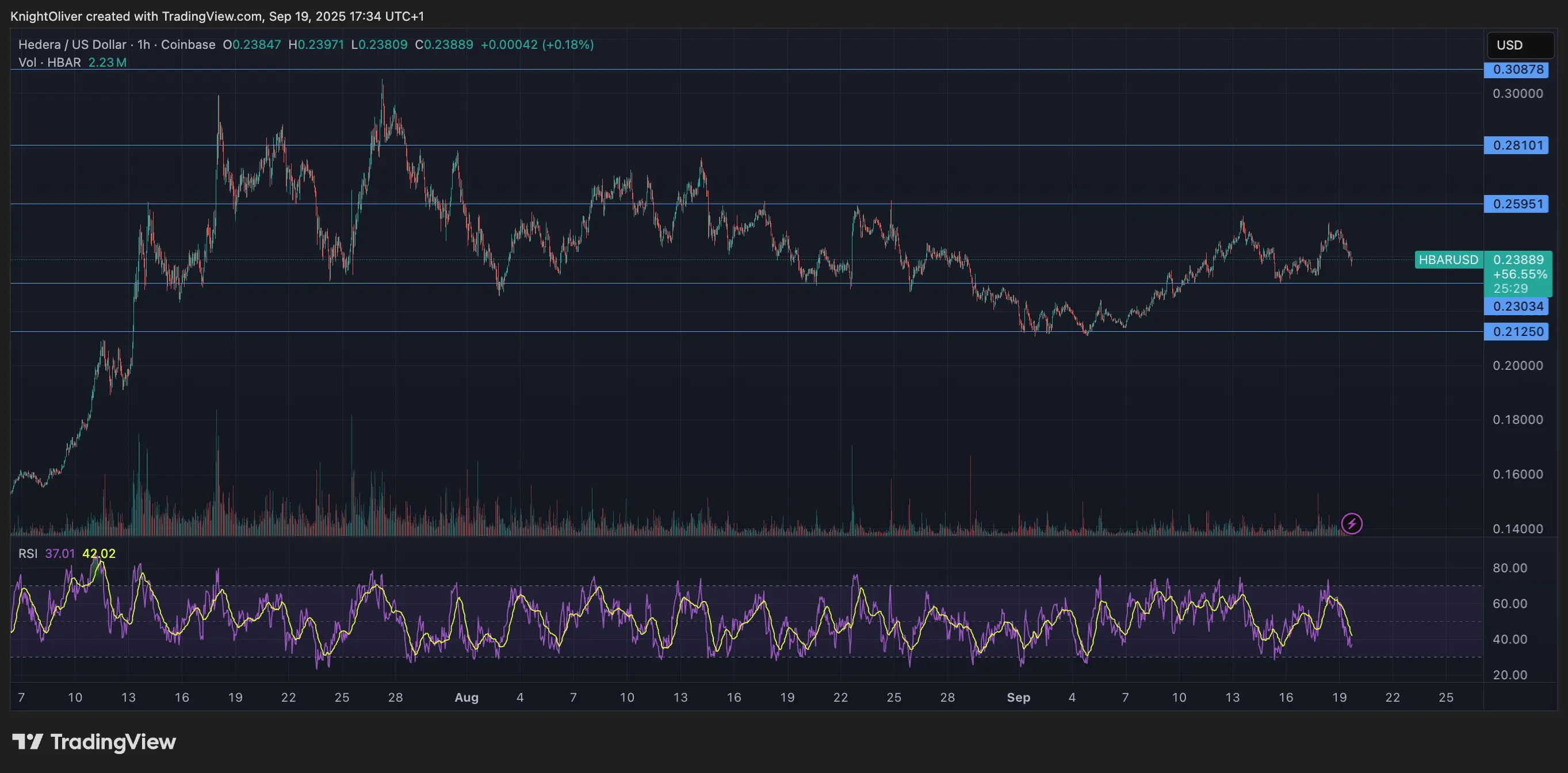 HBAR Slides 3% as Selling Pressure Intensifies, Finds Support at $0.24