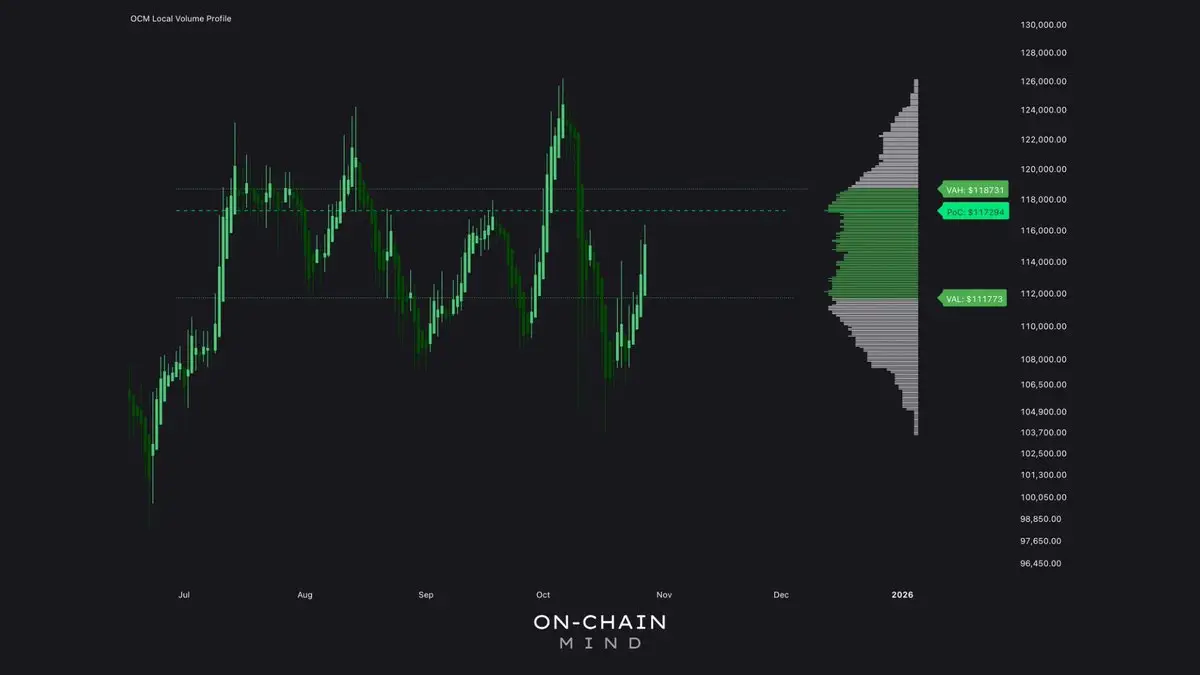 Bitcoin Point Of Control Sits At $117K – Key Battle Zone For Bulls