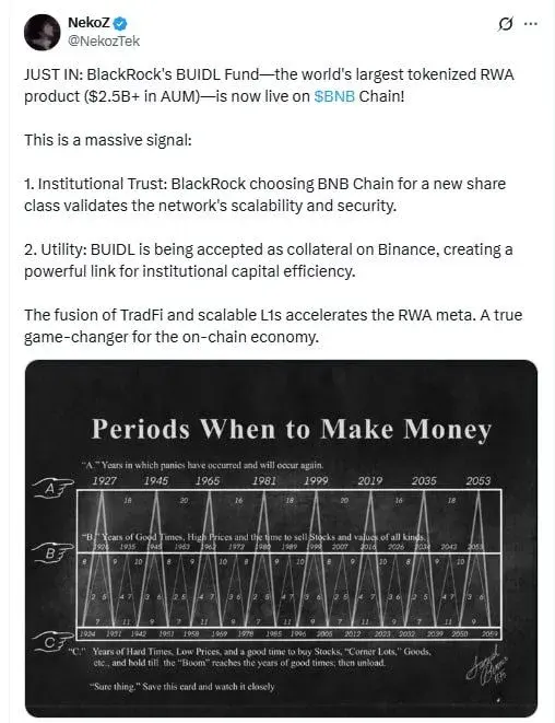 BlackRock BUIDL on BNB Chain as BNB Leads YTD