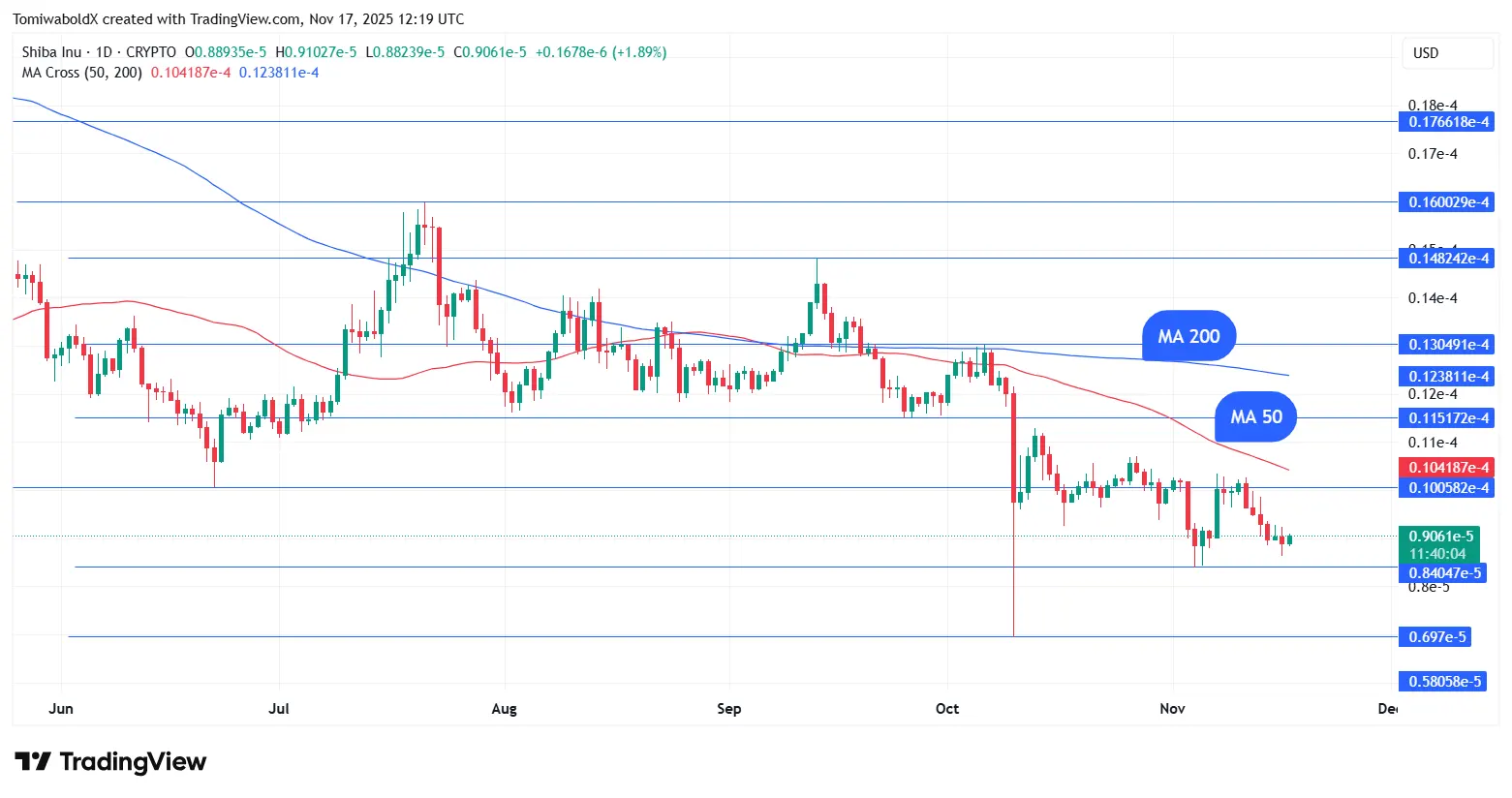 Extreme Fear Returns: Can Shiba Inu Hold Line at $0.000009？