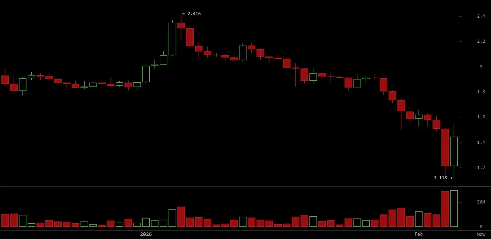 XRP Rebounds as Whale Accumulation and Network Activity Signal Price Reversal