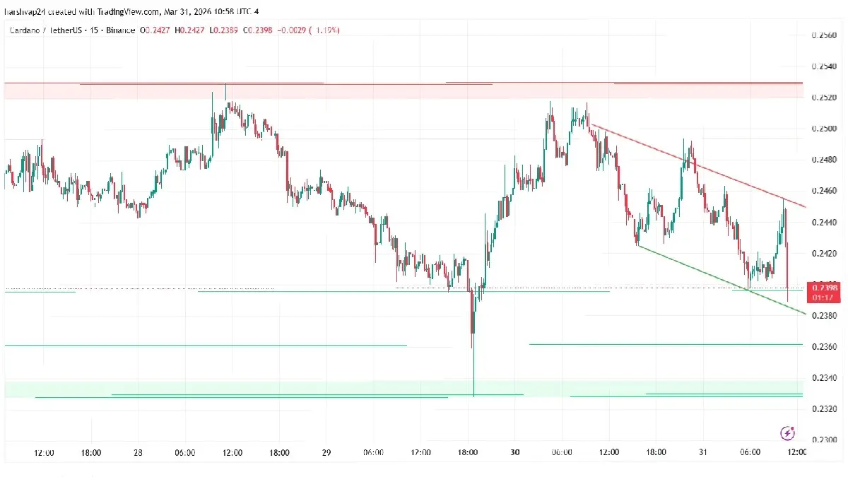 Cardano Price Tests $0.24 Support Despite Midnight Launch