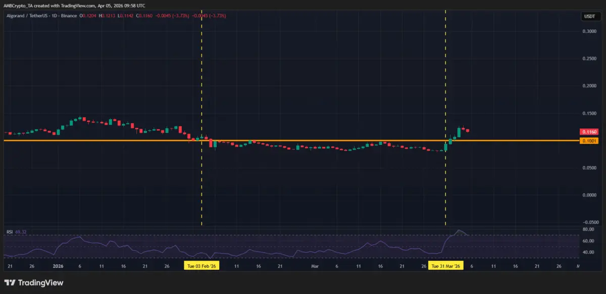 Crypto markets weekly winners and losers – ALGO, OFT, SIREN, CORE