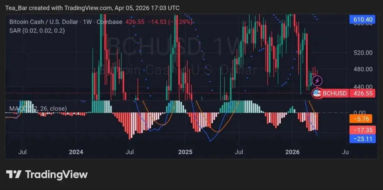 BCH Liquidation Shock: Where Smart Traders Are Positioning Next