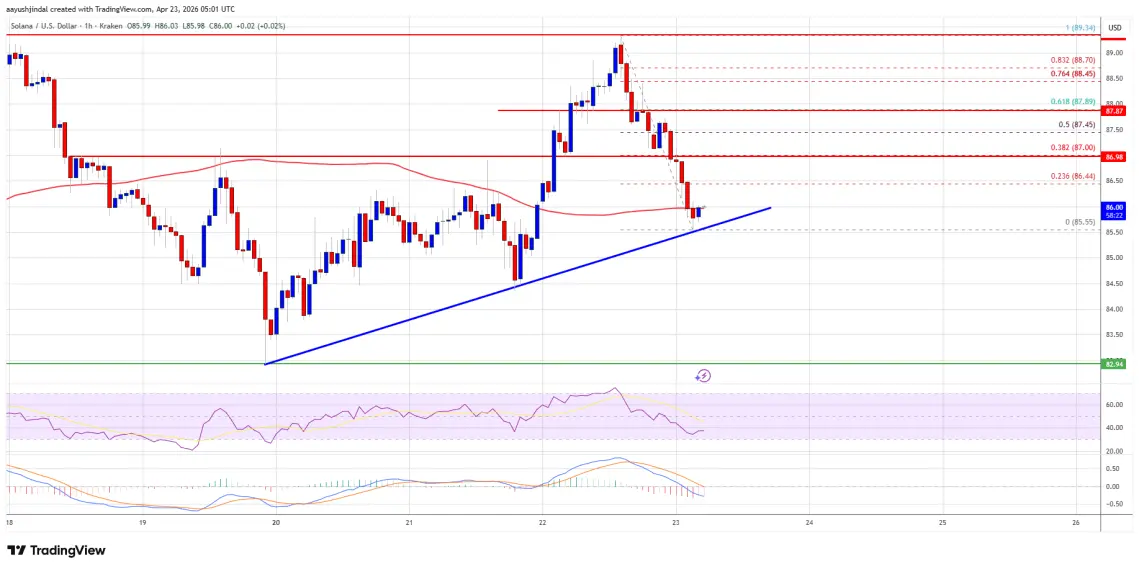 Solana (SOL) Strength Fades, Will Bulls Regain Momentum Soon？