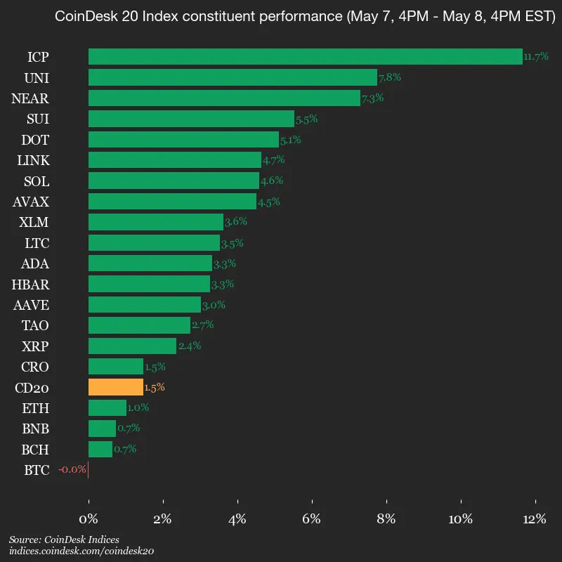 Coinbase rebounds as altcoins surge with bitcoin holding above $80,000