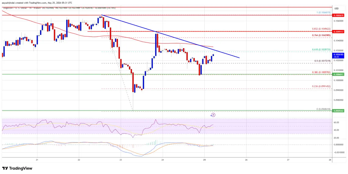 Dogecoin (DOGE) Bounce Under Threat As Resistance Caps Further Gains