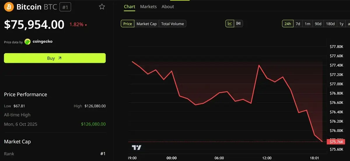 Grayscale Reveals The One DAT That Could Beat MicroStrategys Bitcoin Treasury