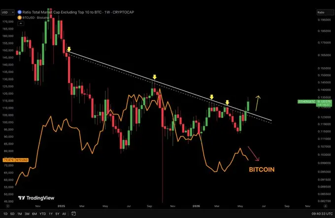 Why altcoin season remains elusive – The divergence traders cant ignore