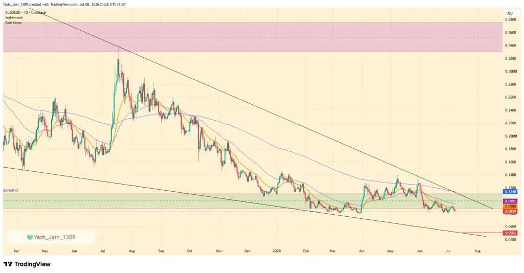 ALGO Price Risks Drop to $0.05 Despite Strong On-Chain Growth