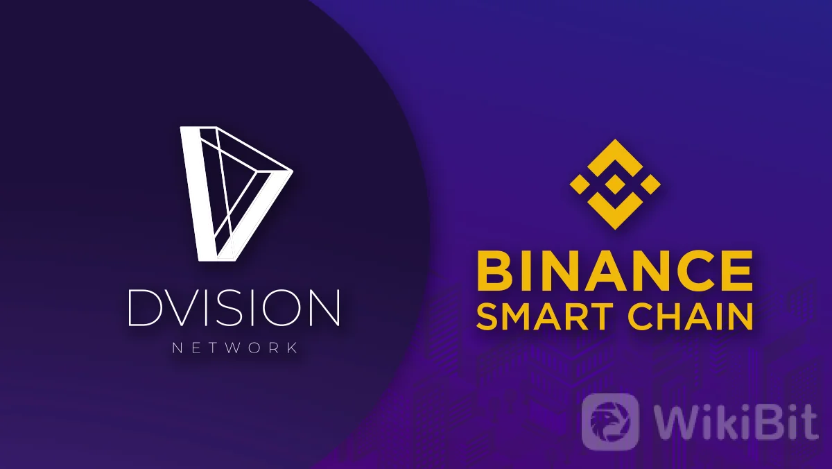 Dvision-Network.png
