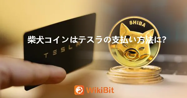 柴犬コインはテスラの支払い方法に?