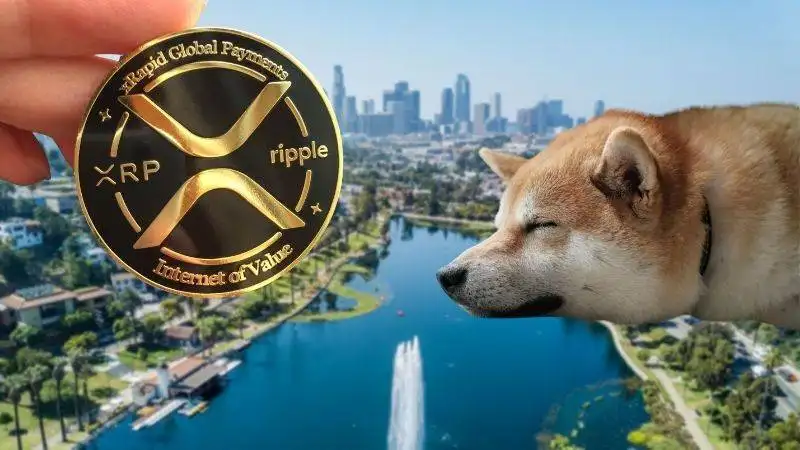 ซีอีโอ Ripple โทษ DOGE ทำให้เกิดภาวะเงินเฟ้อ