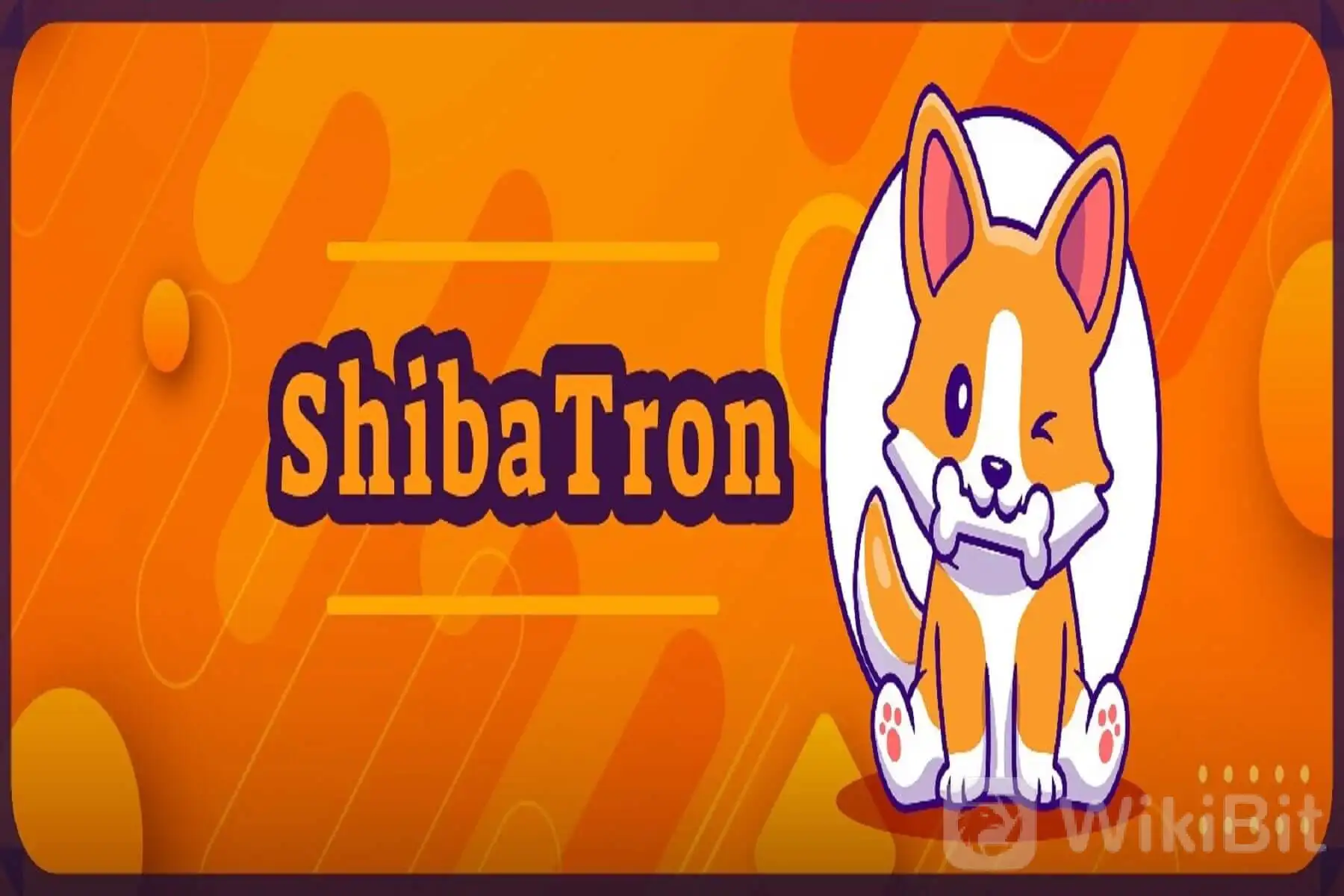 faadd3e102cf00054077ac767c6e5e8c_Shiba-Tron2.jpg