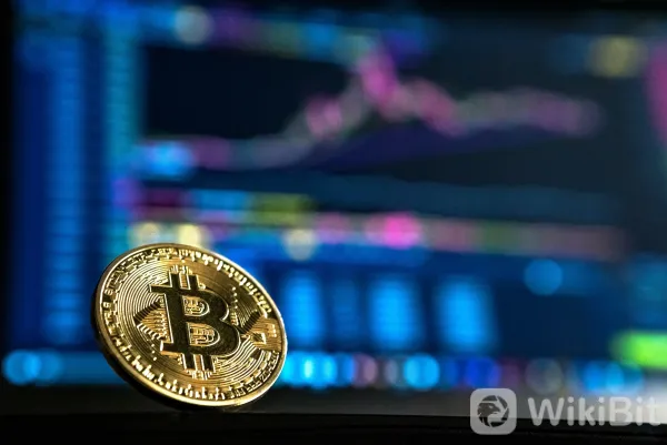 Overview of BRAZILIEX