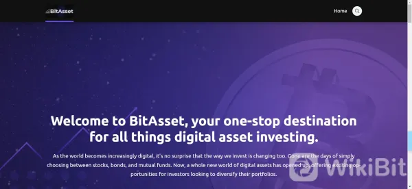 Overview of BitAsset