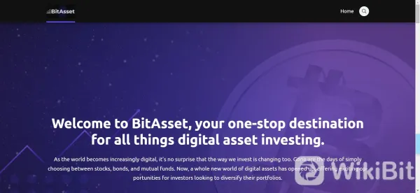 Overview of BitAsset