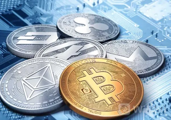 Is WEEK a Good Exchange for You?