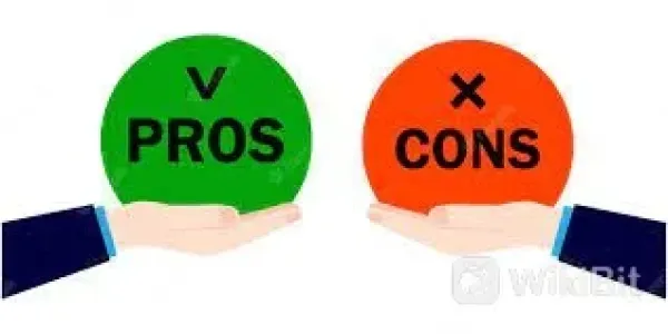 Pros and Cons