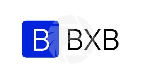 Overview of BXB