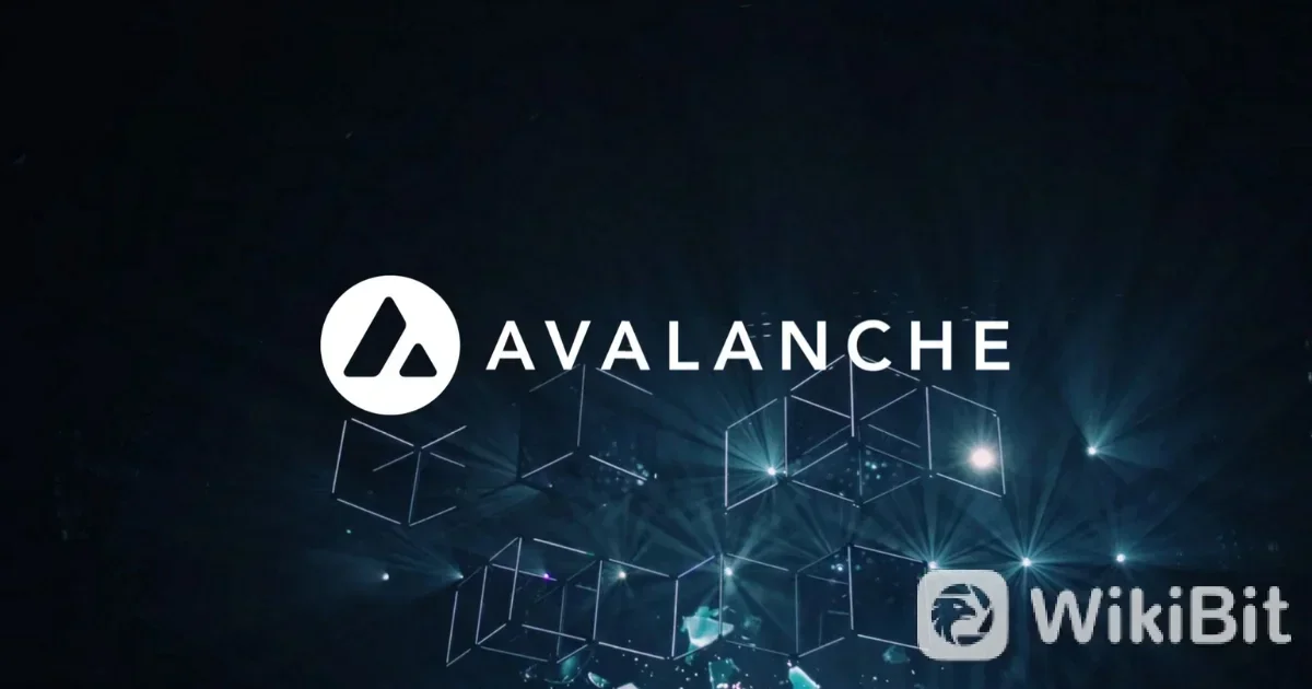 Bolsas para Comprar AVAX