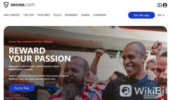 ภาพรวมของ CITY