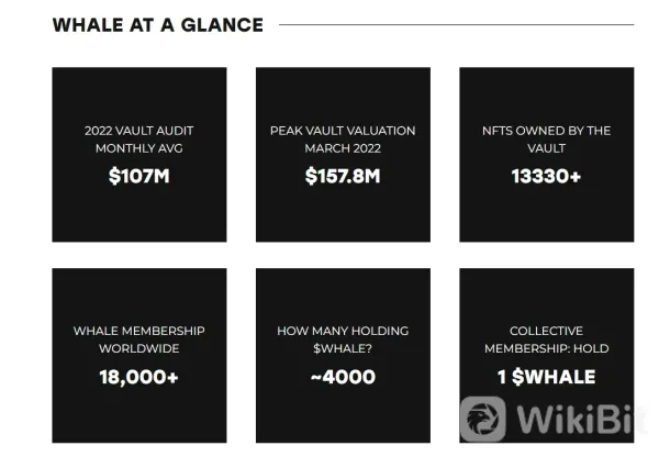 What Makes WHALE Unique?