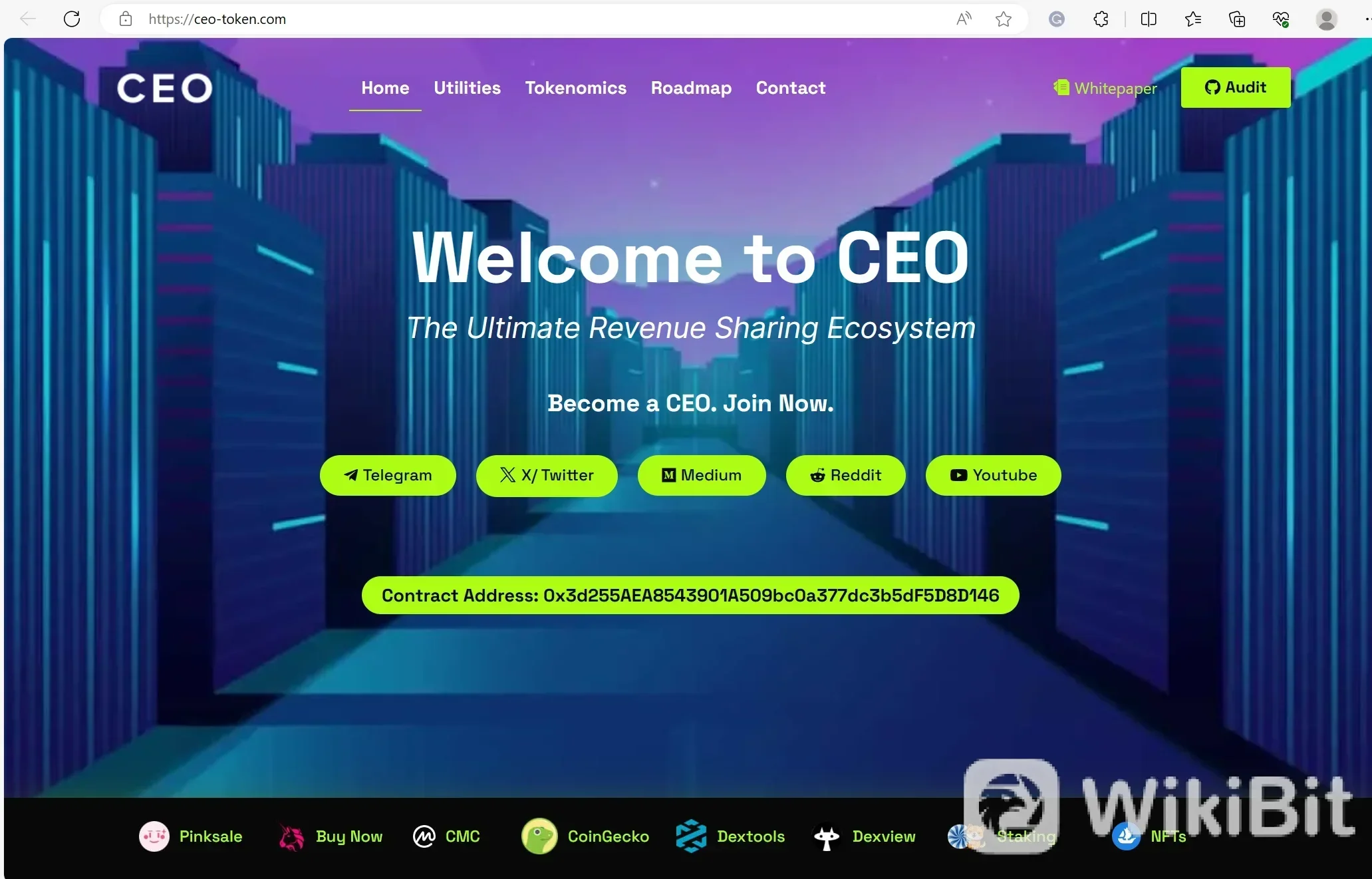 CEOの概要.png