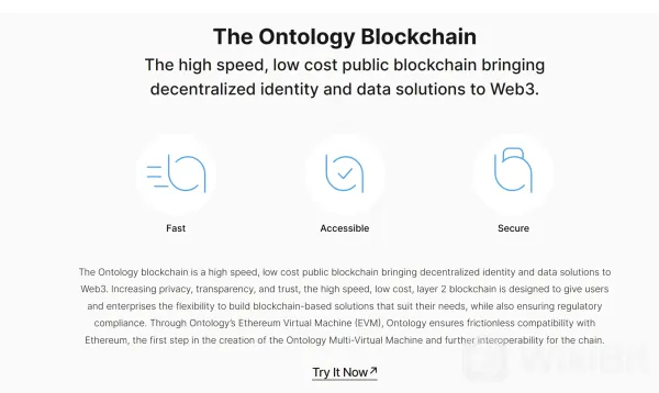 What Makes ONG Unique?