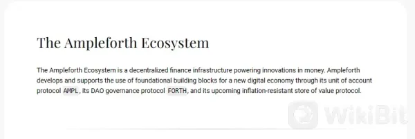 What Makes AMPL Unique?