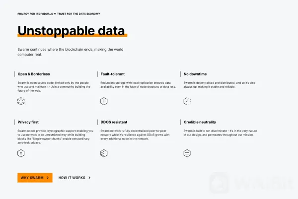 What Makes BZZ Unique?