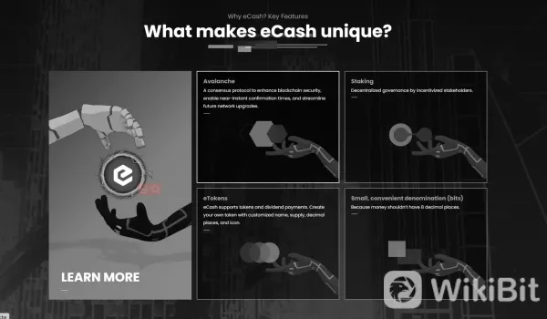 สิ่งที่ทำให้ XEC มีความเป็นเอกลักษณ์