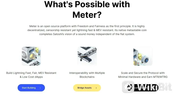 What Makes Meter Stable(MTR) Unique?.png