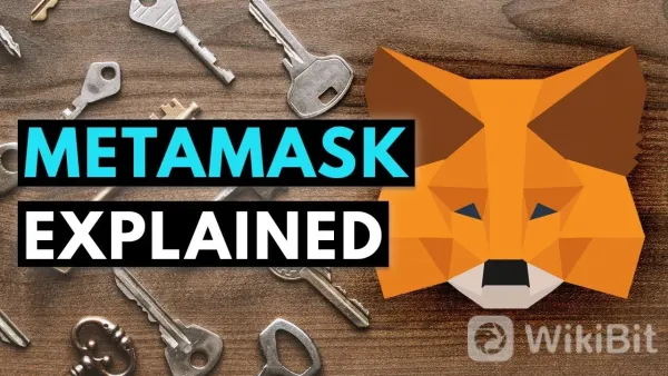 How to Store XXX Anime NFT(XXXANIME)?