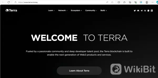 Обзор Terra Classic(LUNC)