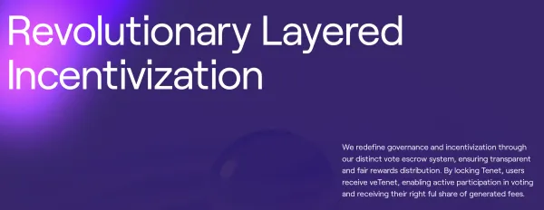 What Makes TENET(TENET) Unique?