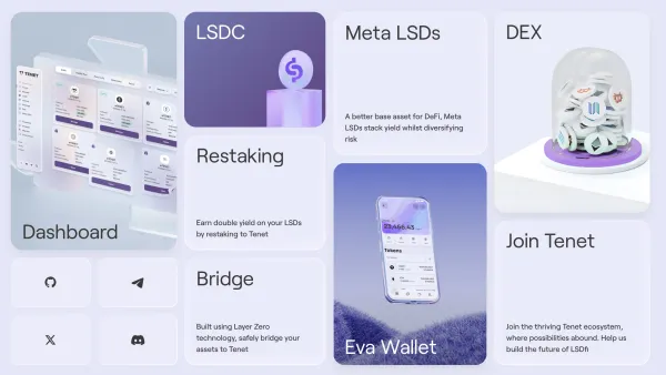 How Does TENET(TENET) Work