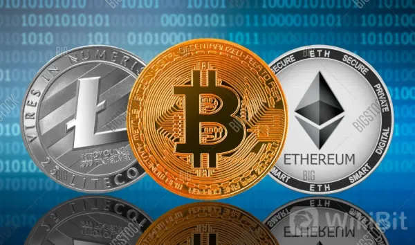 可用的加密货币