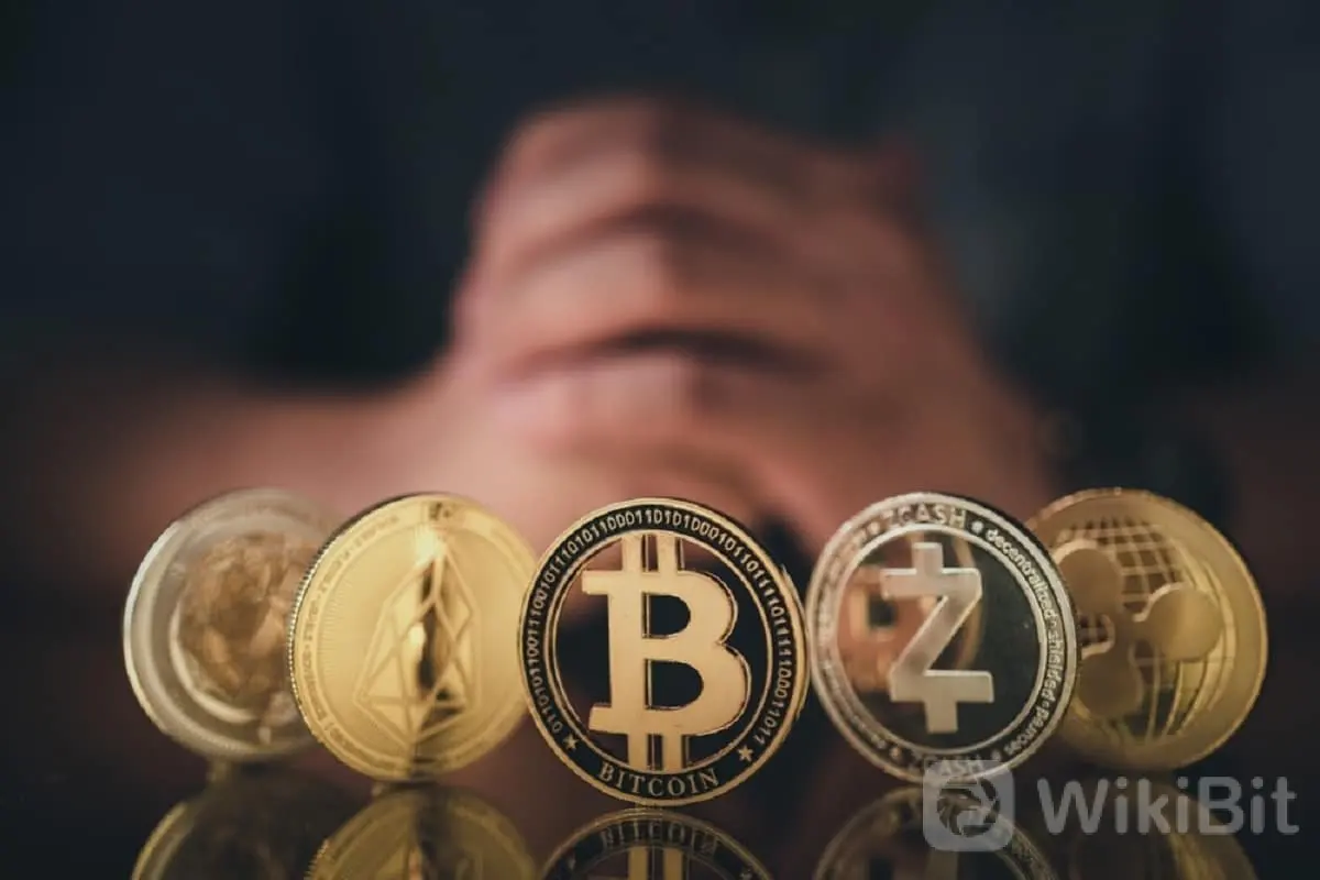 该公司等待SEC 批准比特币ETF 的首席执行官宣布了他的投资组合：“我持有BTC 和这三种山寨币！”-新闻资讯-中金网