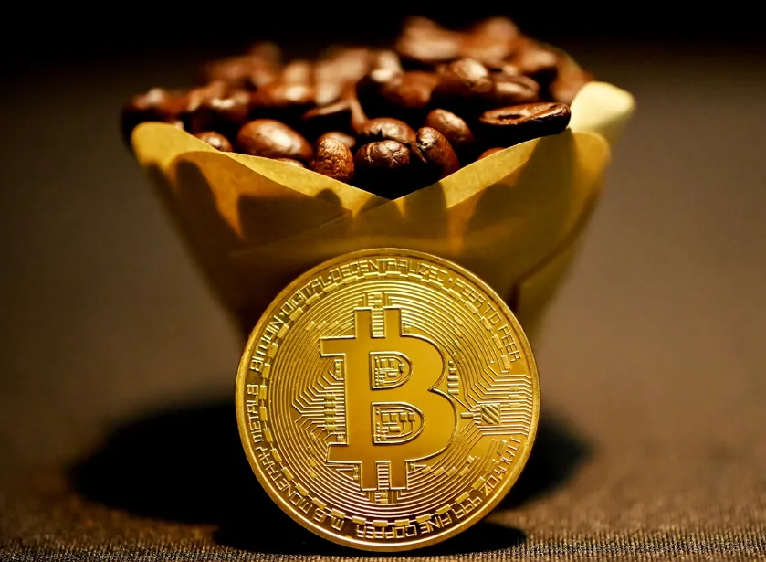 crypto worth crypto worth