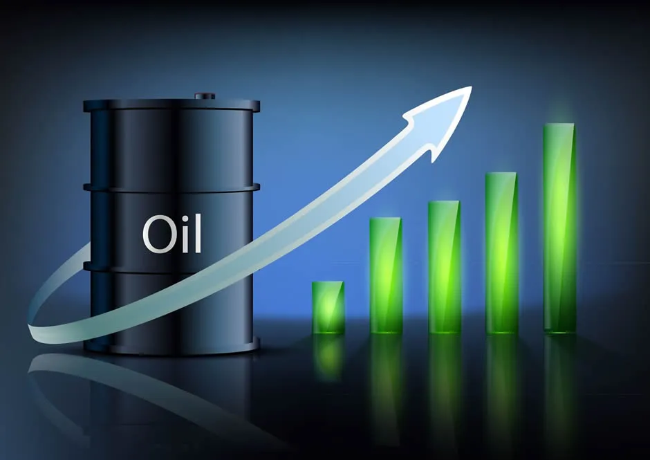 What is Crude Oil Investment? What is Crude Oil Investment?